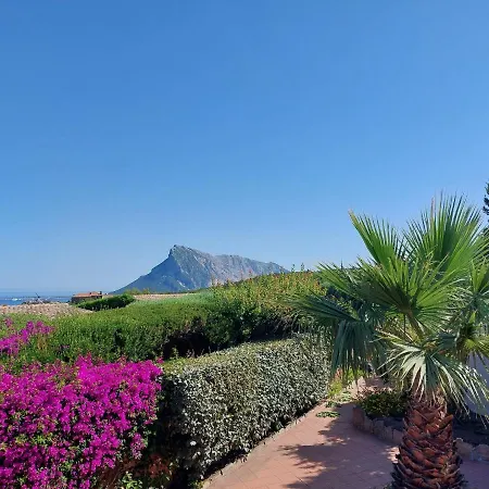 Locazione Turistica Molara 2 San Teodoro (Sardinia)